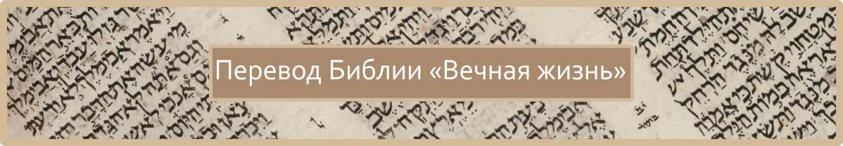 everlasting life